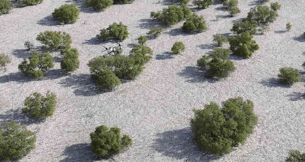 هوش مصنوعی در خدمت طبیعت: احیای جنگل‌های حرّا در امارات توسط "نبات"