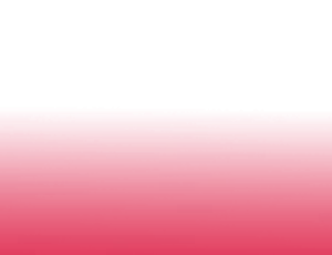 New Project | درنا ریپورت | Dorna Report | صفحه اصلی