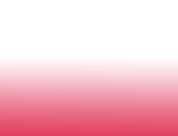 New Project | درنا ریپورت | Dorna Report | صفحه اصلی