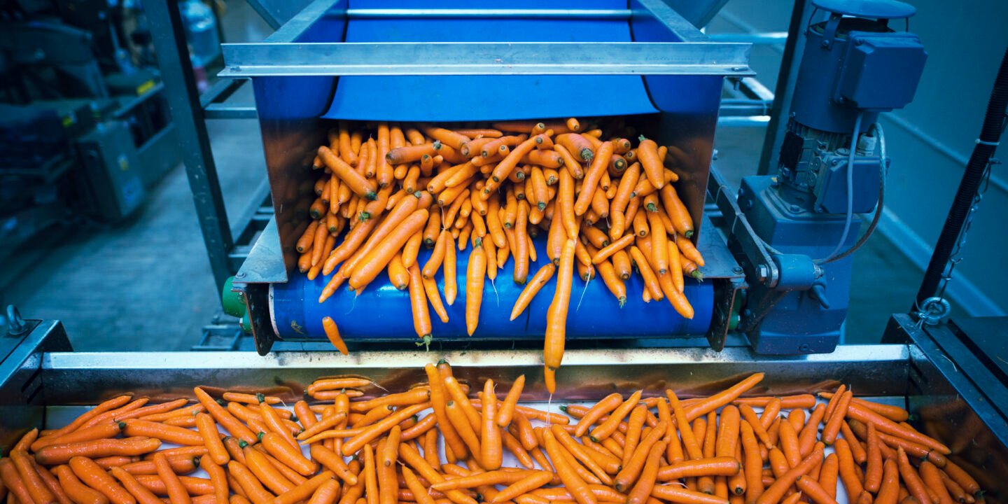 uae food processing investment opportunity 2 1 | درنا ریپورت | Dorna Report | پیامی به سرمایه‌گذاران: اکنون بهترین زمان سرمایه‌گذاری در صنایع غذایی امارات است