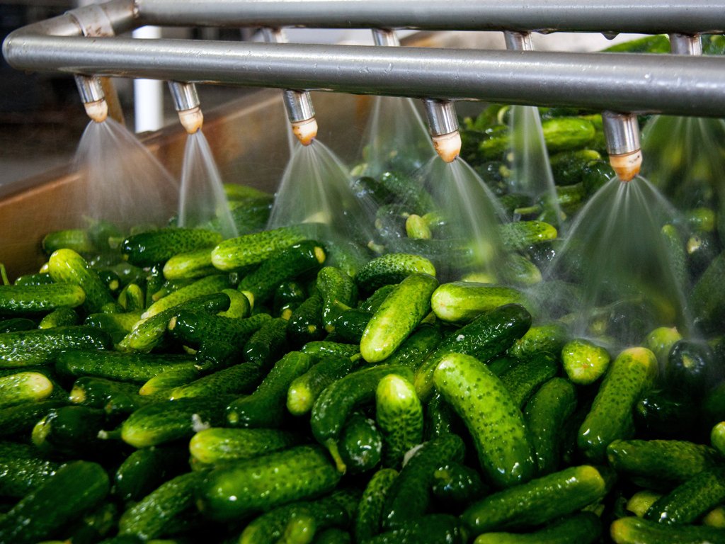 پیامی به سرمایهگذاران: اکنون بهترین زمان سرمایهگذاری در صنایع غذایی امارات است 1 uae food processing investment opportunity 4 | درنا ریپورت | Dorna Report | پیامی به سرمایهگذاران: اکنون بهترین زمان سرمایهگذاری در صنایع غذایی امارات است