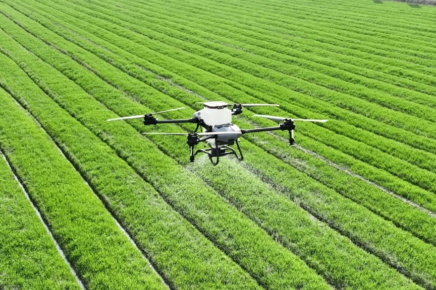 پیامی به سرمایهگذاران: اکنون بهترین زمان سرمایهگذاری در صنایع غذایی امارات است 4 uae food processing investment opportunity 5 | درنا ریپورت | Dorna Report | پیامی به سرمایهگذاران: اکنون بهترین زمان سرمایهگذاری در صنایع غذایی امارات است