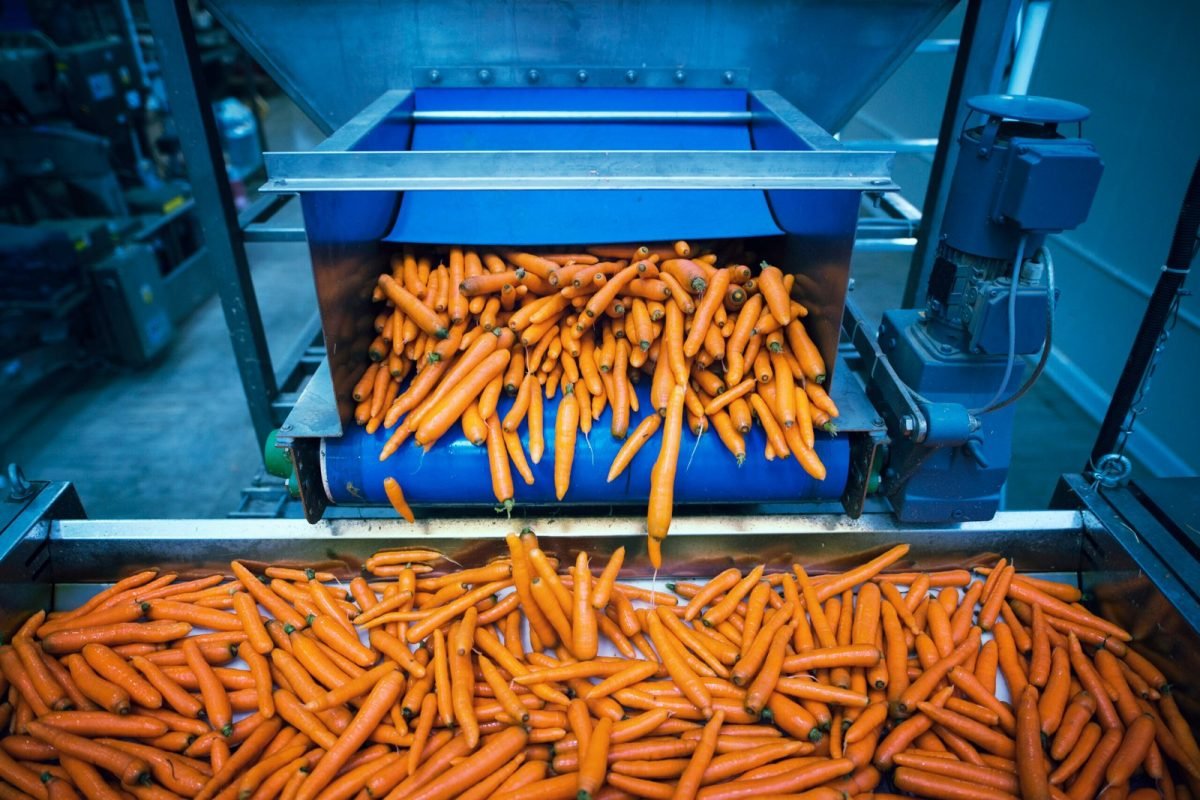 uae-food-processing-investment-opportunity-2-1-scaled-1